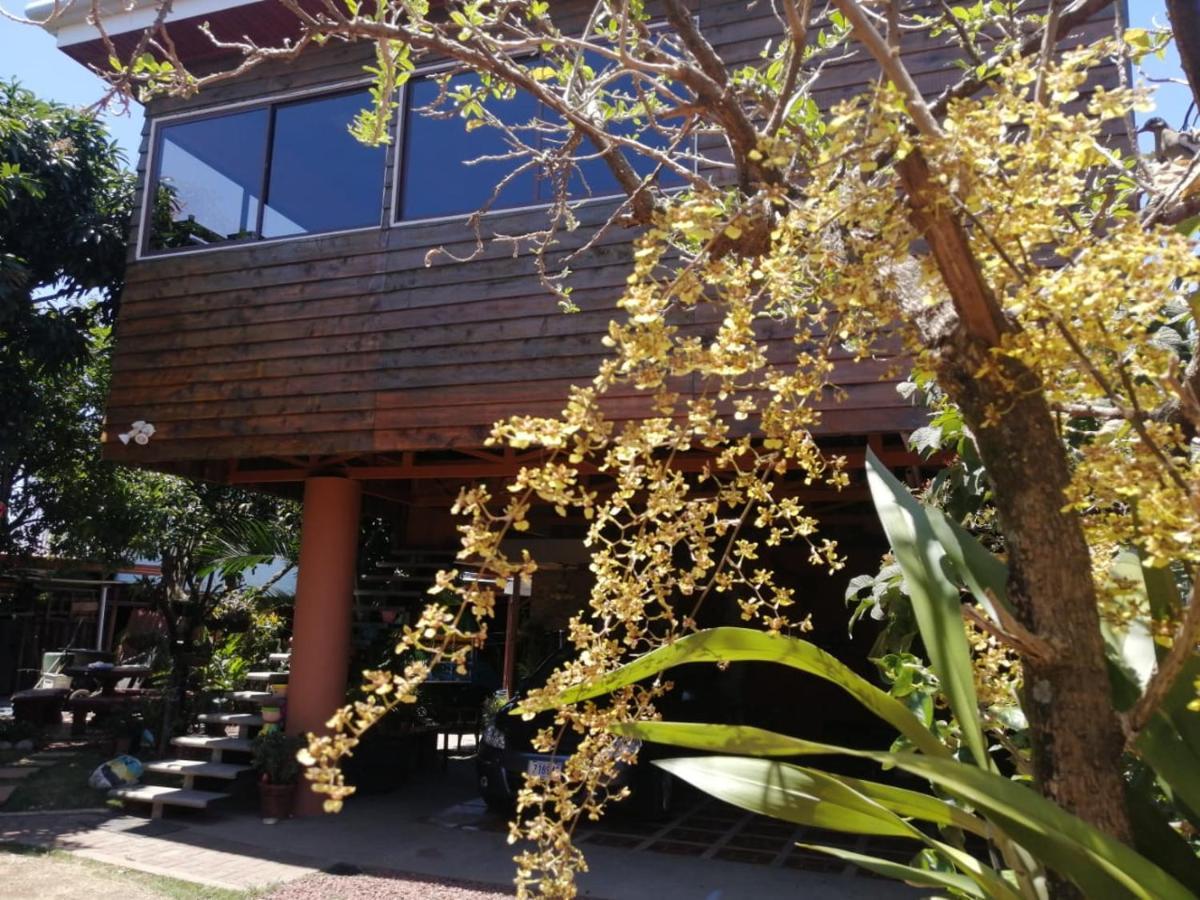شقة Casa Cora هيريديا المظهر الخارجي الصورة
