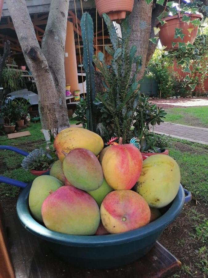شقة Casa Cora هيريديا المظهر الخارجي الصورة