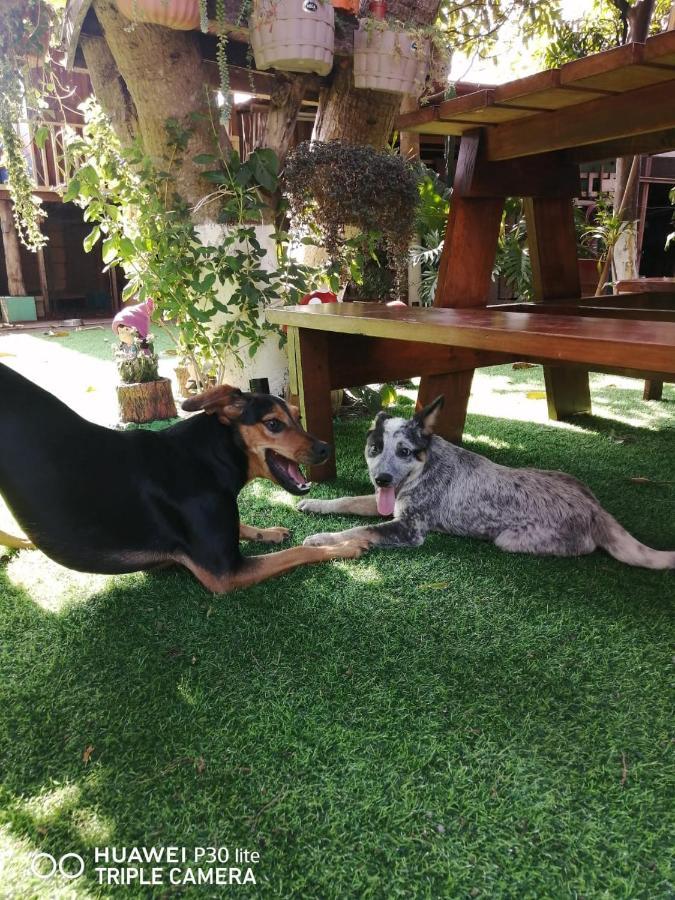 شقة Casa Cora هيريديا المظهر الخارجي الصورة