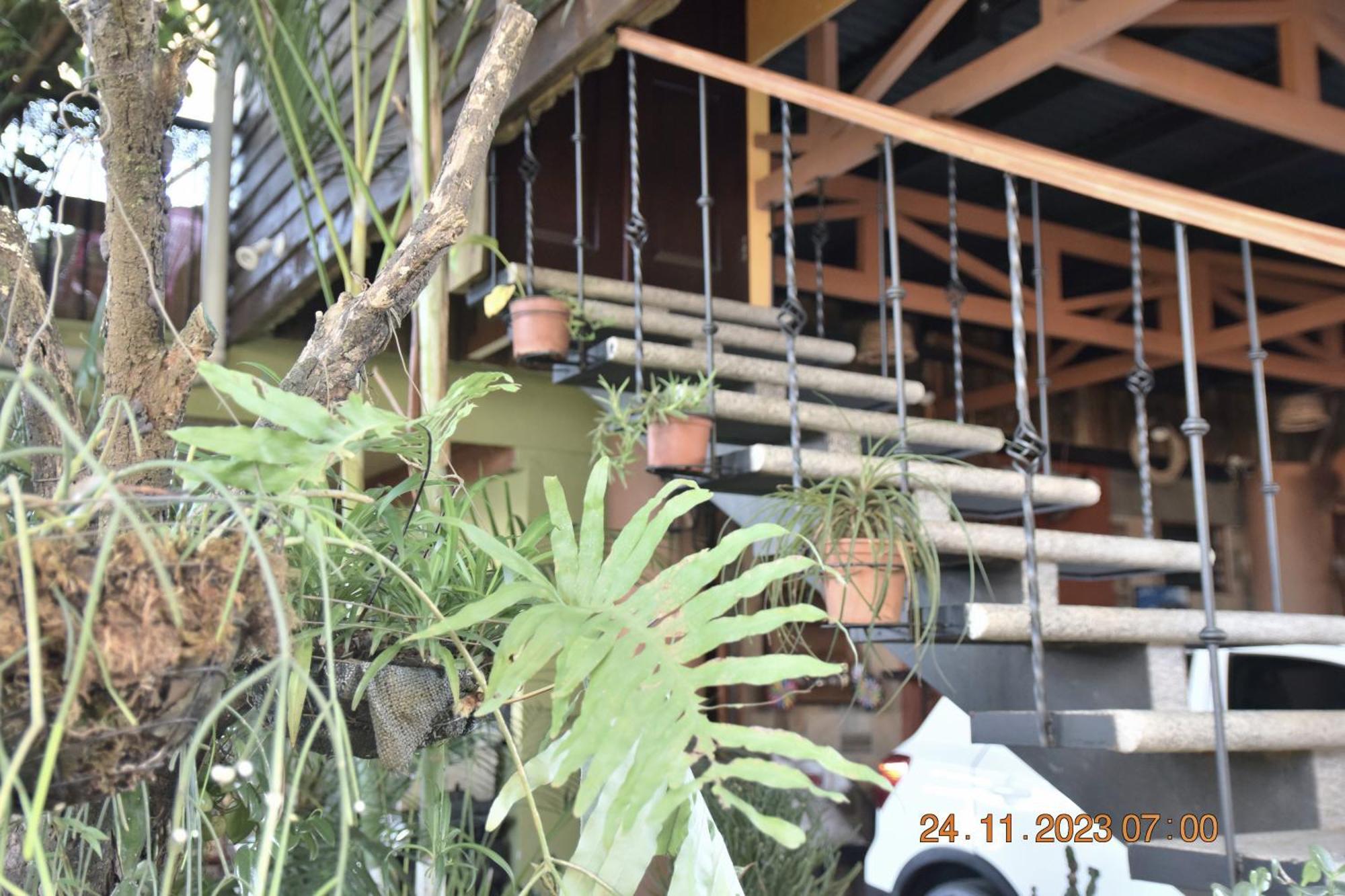 شقة Casa Cora هيريديا المظهر الخارجي الصورة